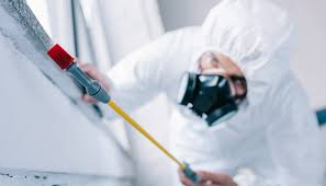 Best Real Estate Pest Inspections  in Vinita, OK